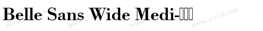 Belle Sans Wide Medi字体转换